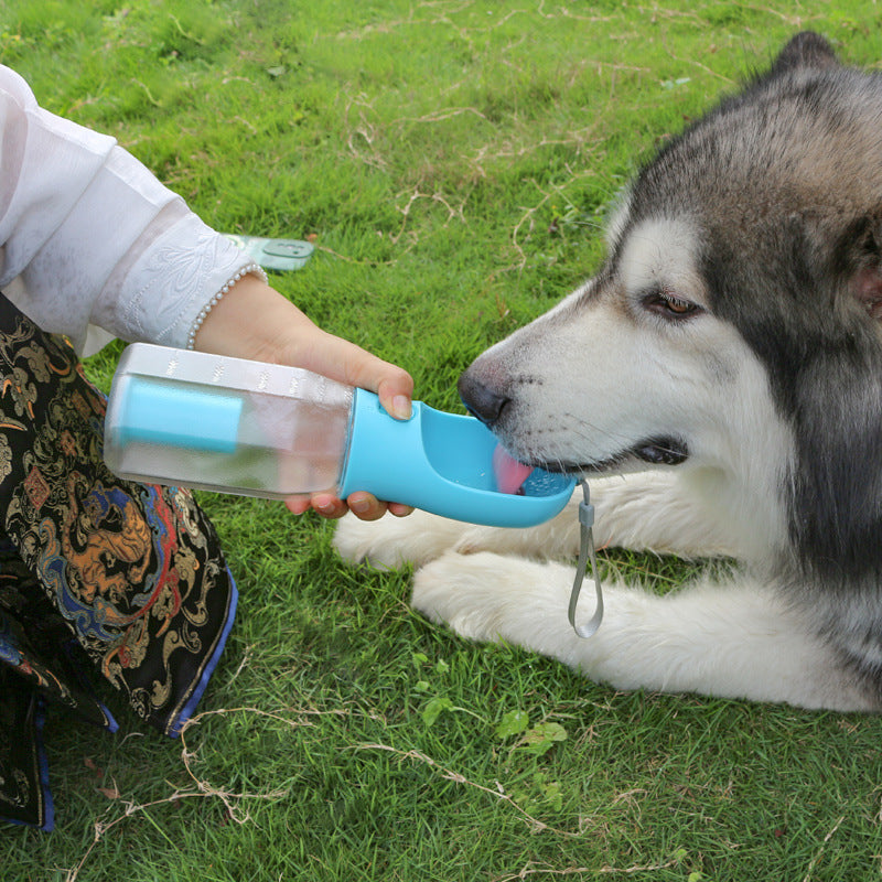 Dispensador de agua y pienso
