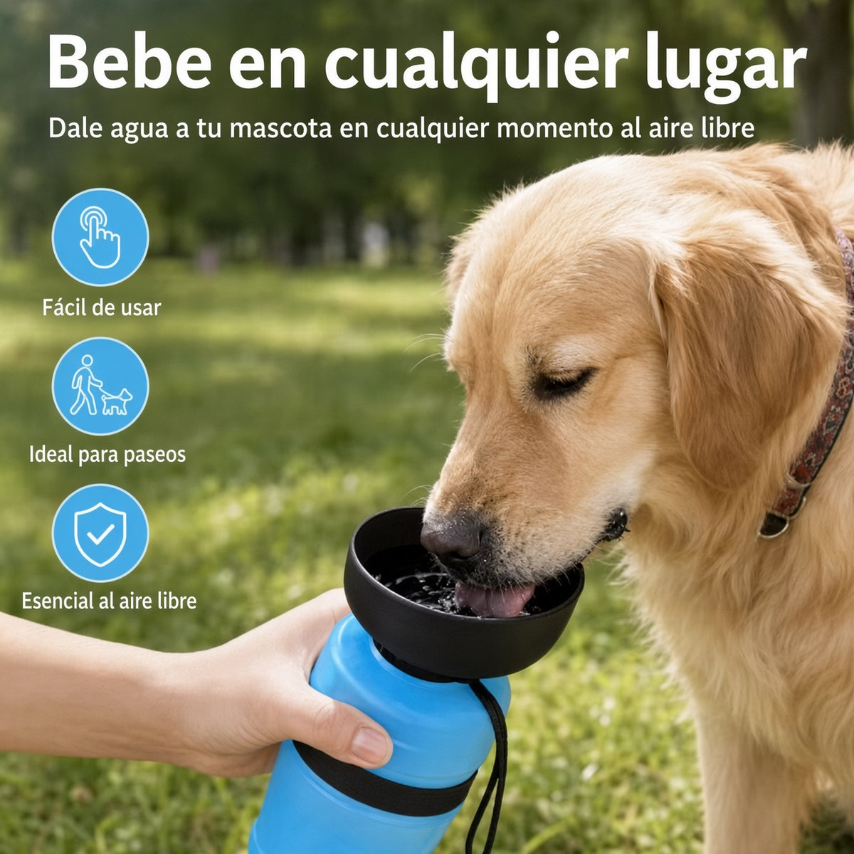 Pack para Mascotas: Bebedero Portátil + Cepillo de Vapor de Regalo 🎁