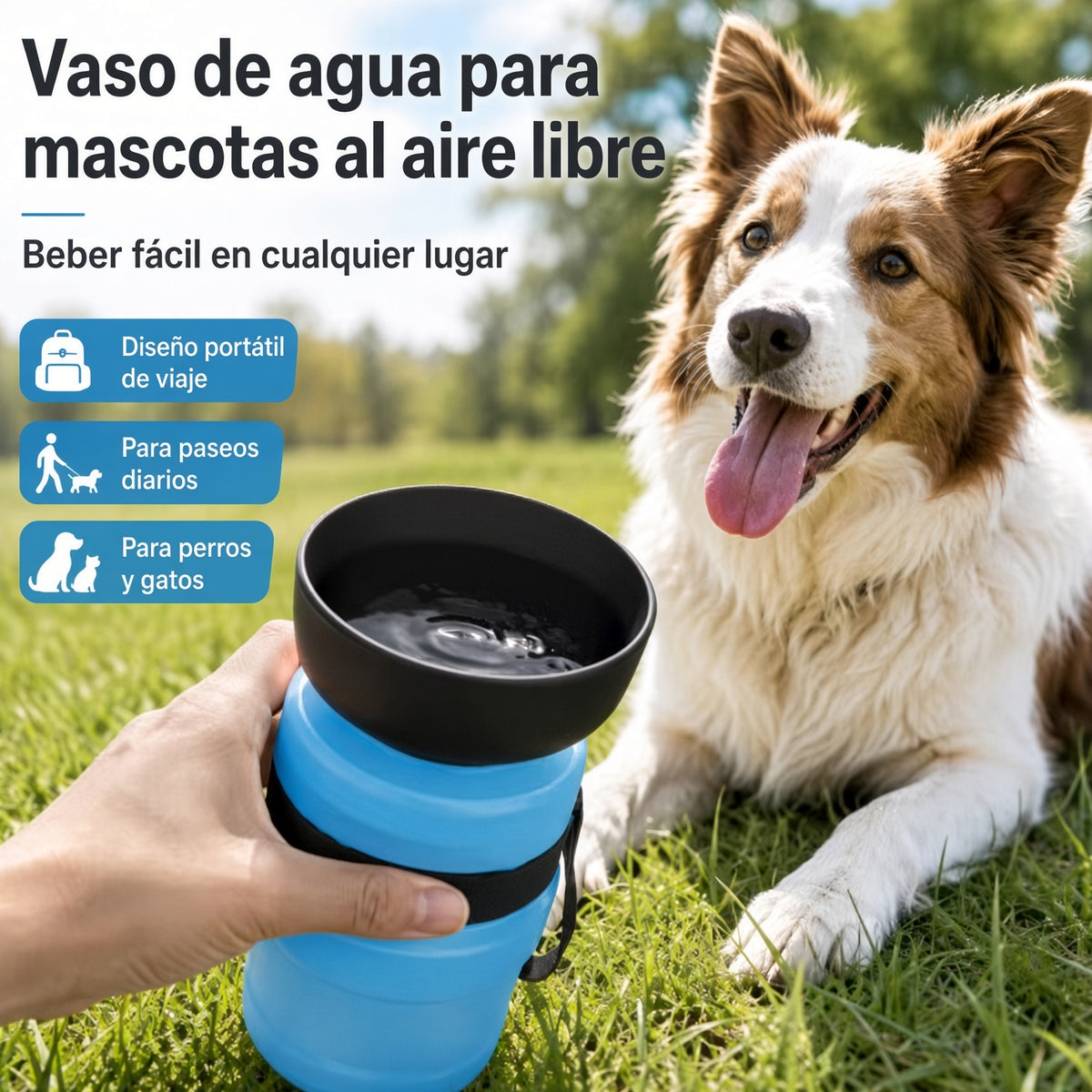 Pack para Mascotas: Bebedero Portátil + Cepillo de Vapor de Regalo 🎁
