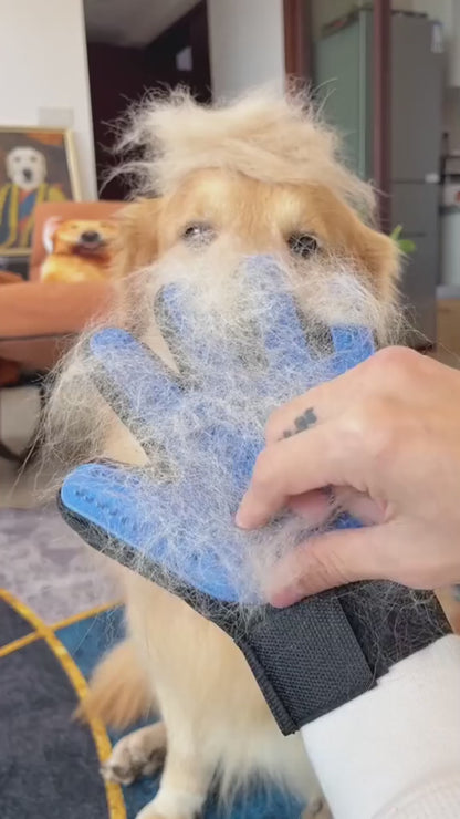 Cepillo manopla para mascota