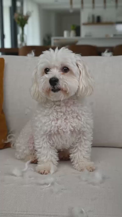 FurClean Pro™ 
— Cepillo Eléctrico Quitapelos para Mascotas